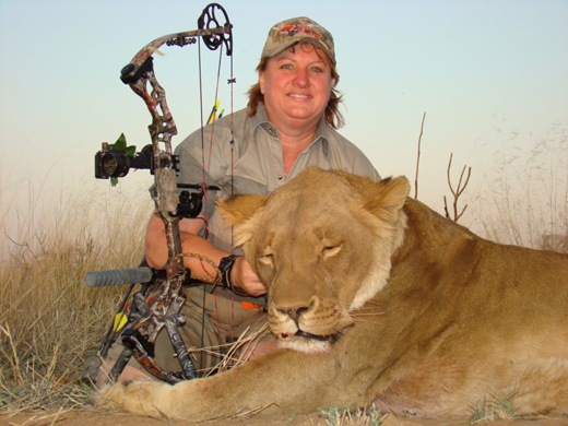 Bates and Arrowed Lioness